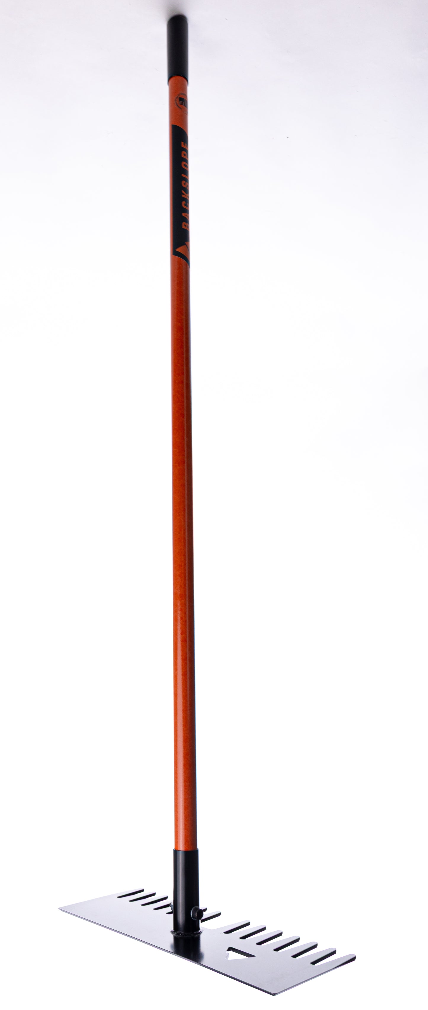 Bert