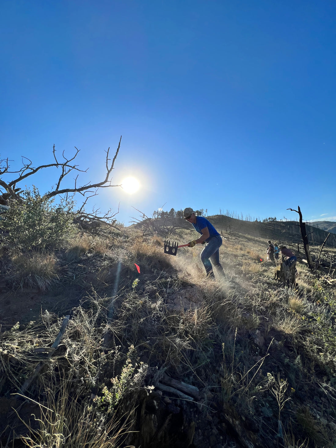 How to become a professional Trail builder